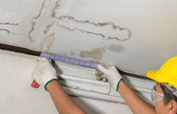 Reliable Burst Pipe Cleanup contractor in Irondale, MO by Water Damage Irwin